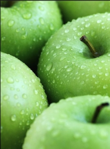 PrimaLuna EVO 300 Hybrid Poweramplifier